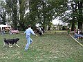 img 104